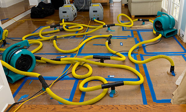 Professional Sewage Cleanup technician working in Edmore, MI